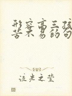 形容高三孩子辛苦不易的句子