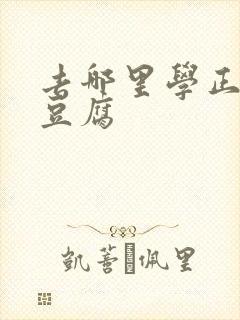 去哪里学正宗臭豆腐