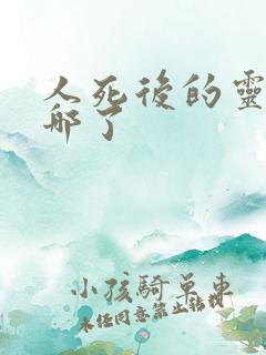 人死后的灵魂去哪了