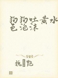 狗狗吐黄水带白色泡沫