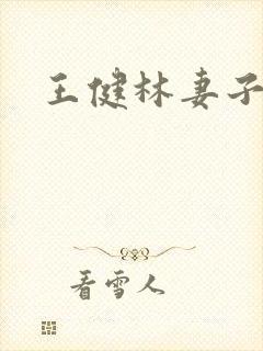 王健林妻子背景