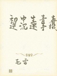 初中生青春期叛逆沉迷手机