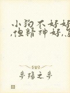 小狗不好好吃饭,但精神好,怎么处理