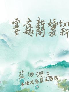 雪夜新婚txt笔趣阁最新章节内容