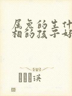 属兔的生什么属相的孩子好