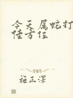 今天属蛇打牌最佳方位