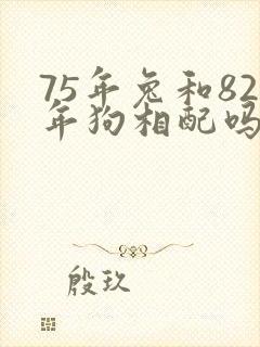 75年兔和82年狗相配吗