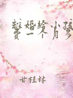 离婚给小孩抚养费一个月多少钱