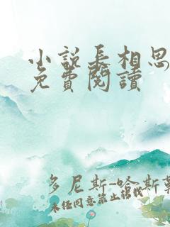 小说长相思原著免费阅读