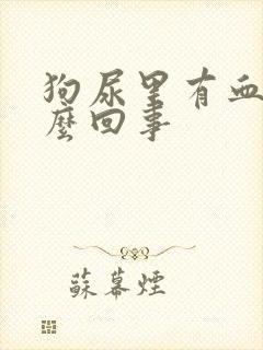 狗尿里有血是怎么回事