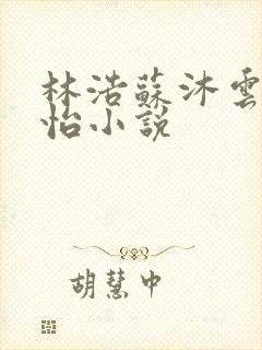 林浩苏沐云李静怡小说