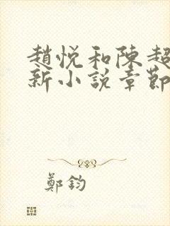 赵悦和陈超的最新小说章节更新时间