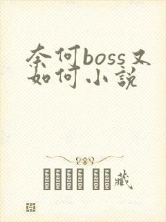 奈何boss又如何小说