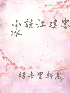 小说江建忠沈雁冰