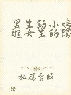 男生的小鸡鸡插进女生的阴道里视频