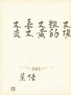 又长又粗又猛又爽又黄的视频在线播放