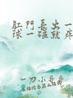 肛门长出一个肉球一碰就疼