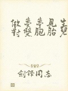 做梦梦见生了一对双胞胎儿子