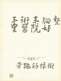 手术丰胸整形哪里医院好