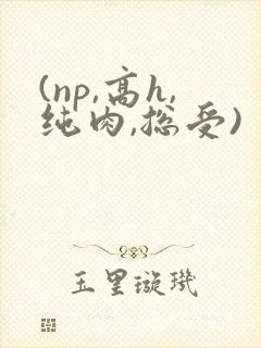(np,高h,纯肉,总受)