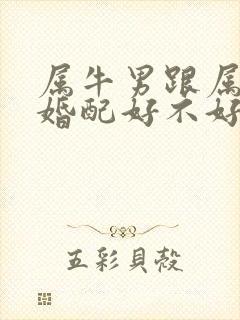 属牛男跟属龙女婚配好不好