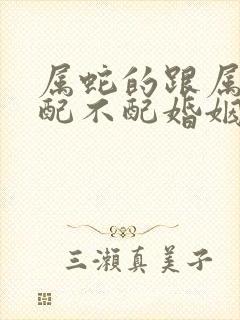 属蛇的跟属虎的配不配婚姻