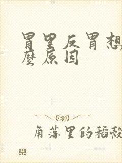 胃里反胃想吐什么原因