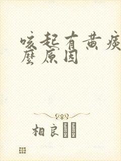 咳起有黄痰是什么原因