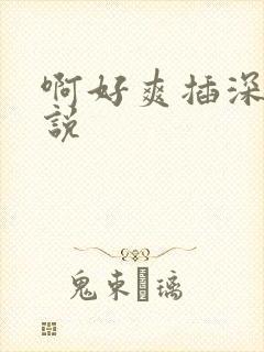 啊好爽插深点小说