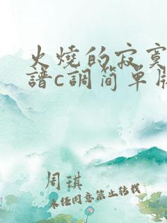 火烧的寂寞吉他谱c调简单版