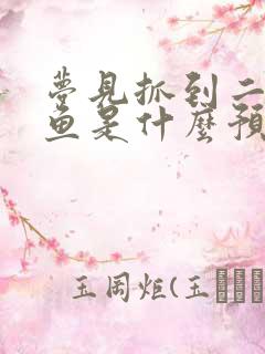 梦见抓到二条大鱼是什么预兆