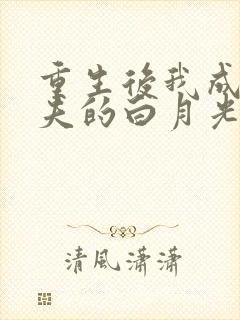 重生后我成了前夫的白月光小说