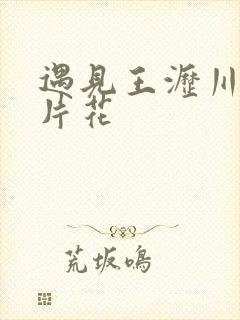 遇见王沥川超长片花