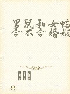 男鼠和女蛇属相合不合婚姻