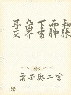 耳朵下面和脸颊交界处肿胀,有硬块看什么科