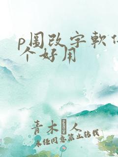 p图改字软件哪个好用