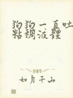 狗狗一直吐黄色粘稠液体