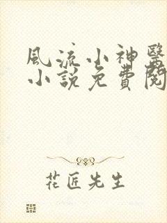 风流小神医叶凡小说免费阅读