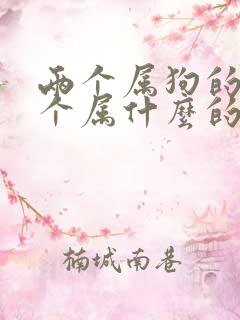 两个属狗的人生个属什么的孩子好