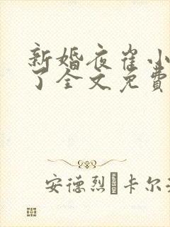 新婚夜崔小姐悟了全文免费阅读