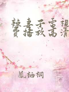 辣妻子电视剧免费播放高清