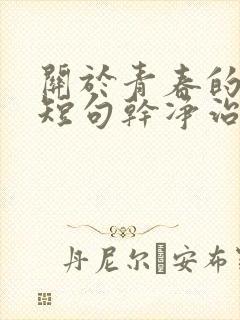 关于青春的文案短句干净治愈