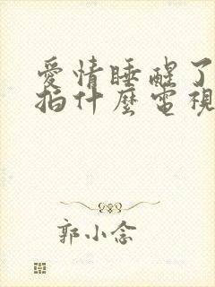 爱情睡醒了是翻拍什么电视剧