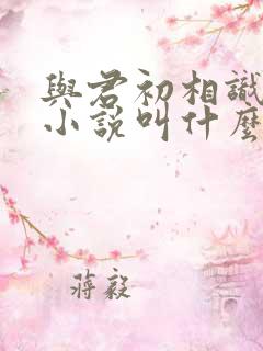 与君初相识原著小说叫什么