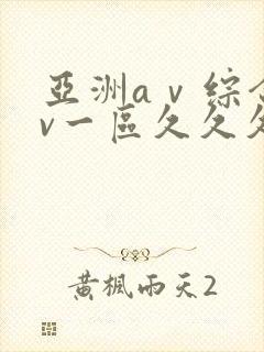 亚洲aⅴ综合av一区久久久