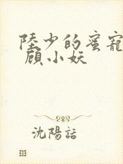 陆少的蜜宠甜妻 顾小妖