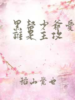 黑帮少爷爱上我谁是主攻