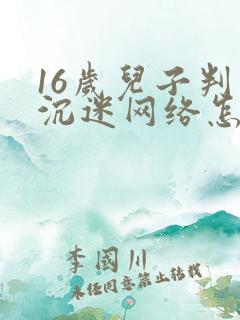 16岁儿子判逆沉迷网络怎么办