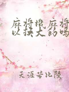 麻将机麻将小可以换大的吗