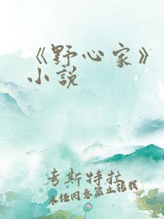 《野心家》原著小说